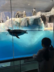 名古屋港水族館に投稿された画像（2026/1/15）