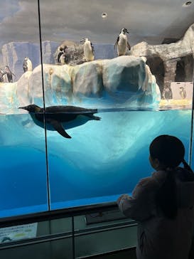 名古屋港水族館に投稿された画像（2026/1/15）