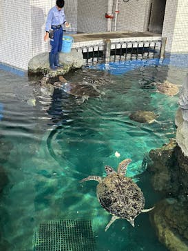 名古屋港水族館に投稿された画像（2026/1/15）