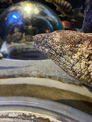 名古屋港水族館に投稿された画像（2026/1/15）