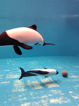 仙台うみの杜水族館に投稿された画像（2026/1/16）
