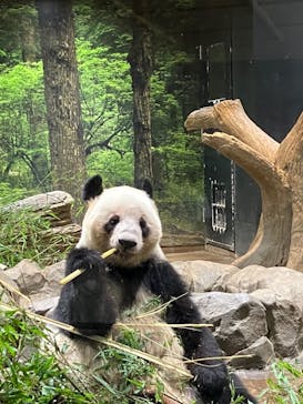 恩賜上野動物園に投稿された画像（2026/1/16）