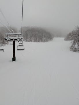 黒伏高原スノーパーク ジャングル・ジャングルに投稿された画像（2026/1/16）