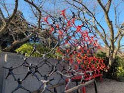 彫刻の森美術館に投稿された画像（2026/1/16）