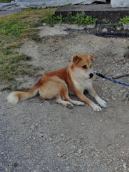 tidaツアーズに投稿された画像（2026/1/16）