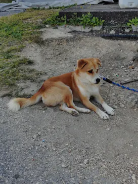 tidaツアーズに投稿された画像（2026/1/16）