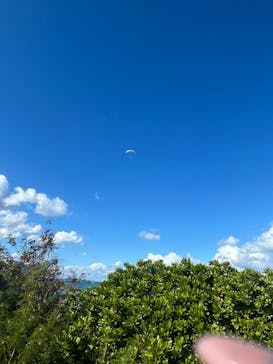 ブルースカイに投稿された画像（2026/1/16）