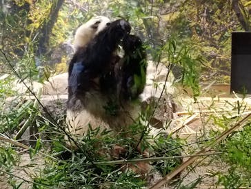 恩賜上野動物園に投稿された画像（2026/1/16）