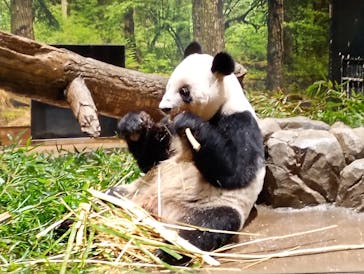 恩賜上野動物園に投稿された画像（2026/1/16）