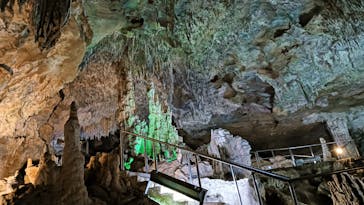 石垣島鍾乳洞に投稿された画像（2026/1/16）