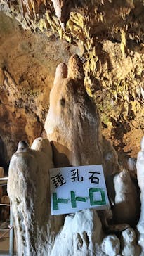 石垣島鍾乳洞に投稿された画像（2026/1/16）