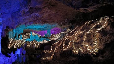 石垣島鍾乳洞に投稿された画像（2026/1/16）