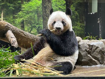 恩賜上野動物園に投稿された画像（2026/1/16）