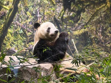 恩賜上野動物園に投稿された画像（2026/1/16）