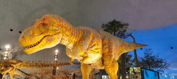 福井県立恐竜博物館に投稿された画像（2026/1/16）