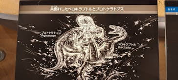 福井県立恐竜博物館に投稿された画像（2026/1/16）