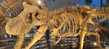 福井県立恐竜博物館に投稿された画像（2026/1/16）