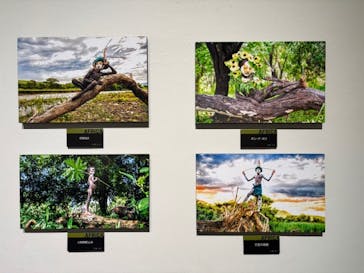 ヨシダナギ写真展　HEROES-RELOADED-に投稿された画像（2026/1/16）