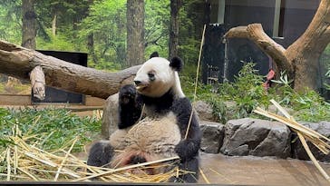 恩賜上野動物園に投稿された画像（2026/1/16）