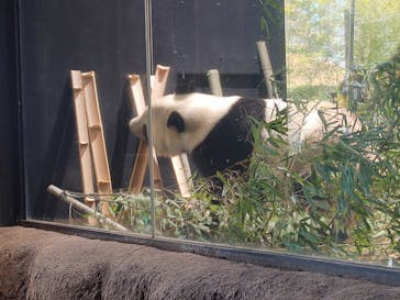 恩賜上野動物園に投稿された画像（2026/1/16）