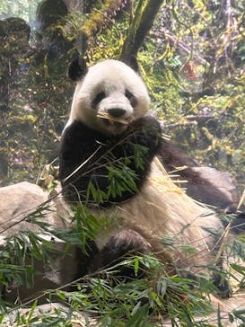 恩賜上野動物園に投稿された画像（2026/1/16）