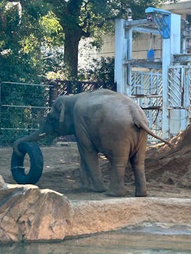 恩賜上野動物園に投稿された画像（2026/1/16）