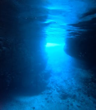 青の洞窟専門店　沖縄ダイビングショップ和に投稿された画像（2026/1/16）