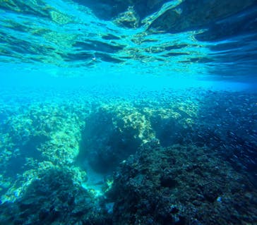 青の洞窟専門店　沖縄ダイビングショップ和に投稿された画像（2026/1/16）