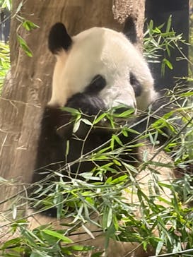 恩賜上野動物園に投稿された画像（2026/1/16）