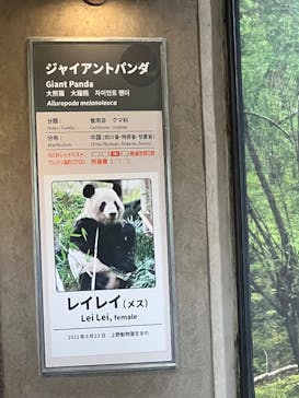 恩賜上野動物園に投稿された画像（2026/1/16）