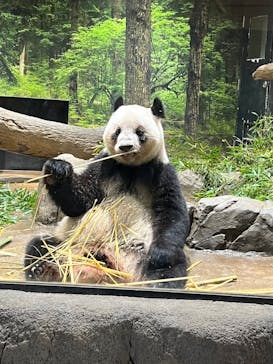 恩賜上野動物園に投稿された画像（2026/1/16）