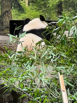 恩賜上野動物園に投稿された画像（2026/1/16）