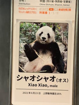 恩賜上野動物園に投稿された画像（2026/1/16）