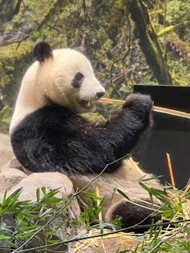 恩賜上野動物園に投稿された画像（2026/1/16）