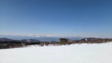 菅平高原スノーリゾートに投稿された画像（2026/1/16）