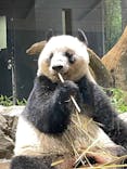 恩賜上野動物園に投稿された画像（2026/1/16）