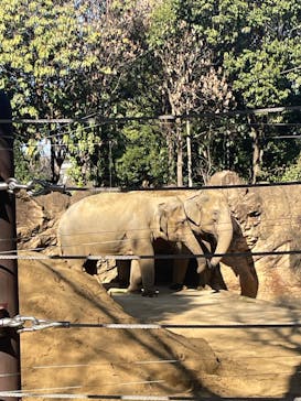 恩賜上野動物園に投稿された画像（2026/1/16）