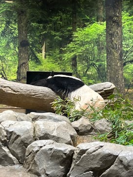 恩賜上野動物園に投稿された画像（2026/1/16）