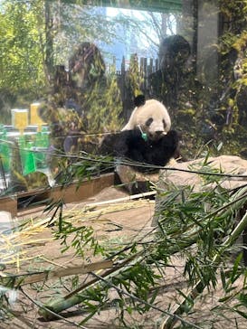 恩賜上野動物園に投稿された画像（2026/1/16）