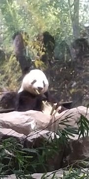 恩賜上野動物園に投稿された画像（2026/1/16）