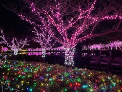 東武動物公園に投稿された画像（2026/1/16）