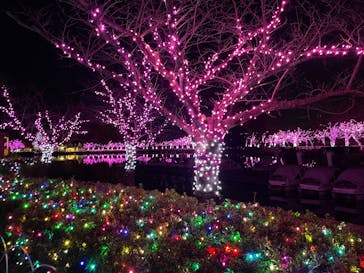 東武動物公園に投稿された画像（2026/1/16）