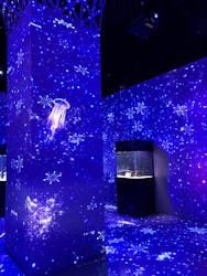 マクセル アクアパーク品川に投稿された画像（2026/1/16）