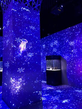 マクセル アクアパーク品川に投稿された画像（2026/1/16）