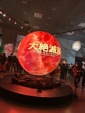特別展「大絶滅展―生命史のビッグファイブ」に投稿された画像（2026/1/16）