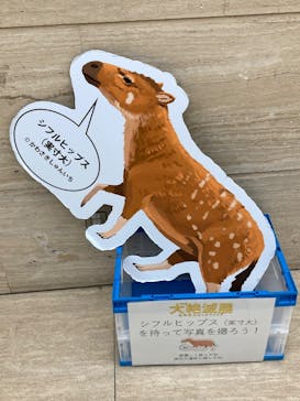 特別展「大絶滅展―生命史のビッグファイブ」に投稿された画像（2026/1/16）