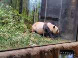 恩賜上野動物園に投稿された画像（2026/1/16）