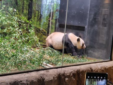恩賜上野動物園に投稿された画像（2026/1/16）
