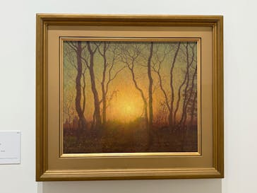 豊田市美術館に投稿された画像（2026/1/16）