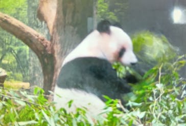 恩賜上野動物園に投稿された画像（2026/1/16）